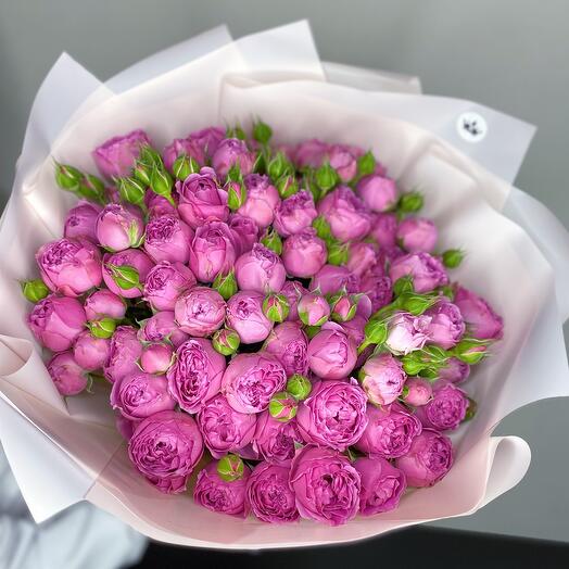 Peony-shaped pink roses