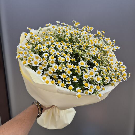 Букет ромашек