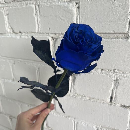 Синие розы