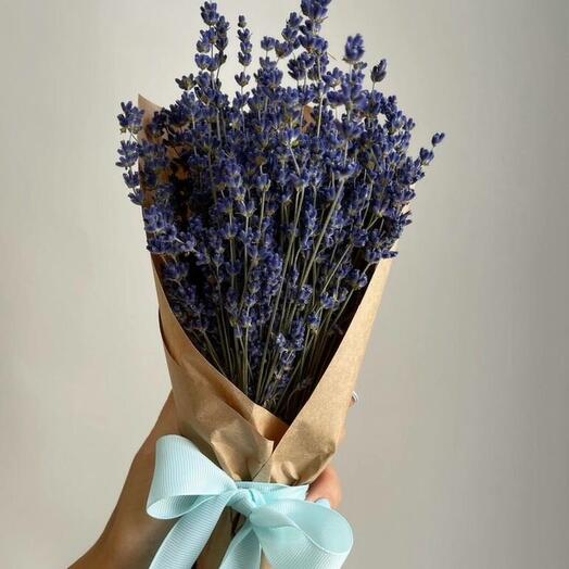 Hortensia y gypsophila