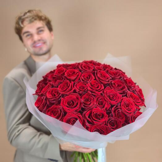 Красная роза Эквадор Explorer, 51 шт