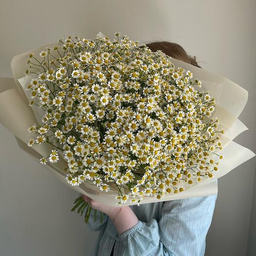 Букет ромашек