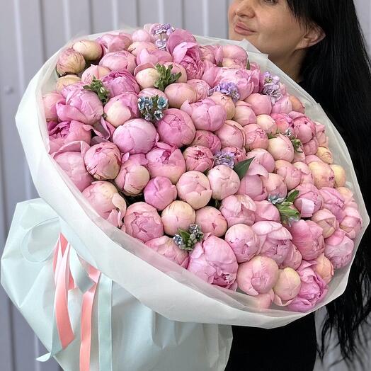101 ПИОН PREMIUM