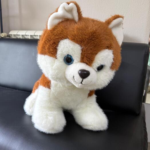 Пёсик «Бен»