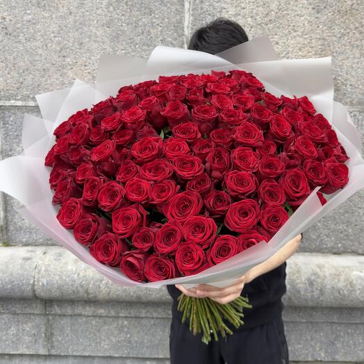101 60см роза голландия