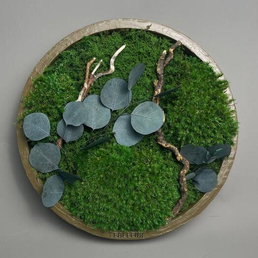 Панно из стабилизированных мхов D 30 см