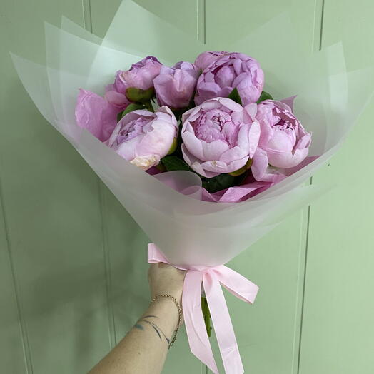 Пионы 7 шт