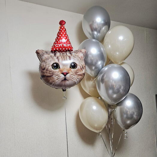 Воздушные шары серебро и бежевые и котик,кот,котенок,кошка в колпачке- 11шаров