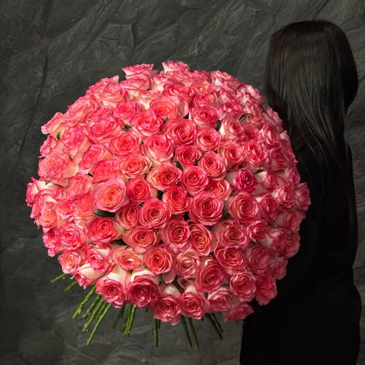 Jumilia 101 (70cm)