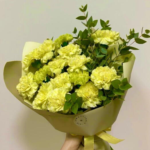 19 диантусов 💛💚