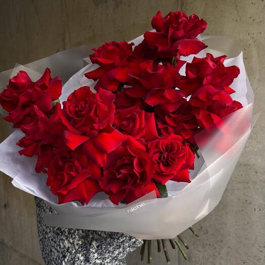 French roses Burgundy red