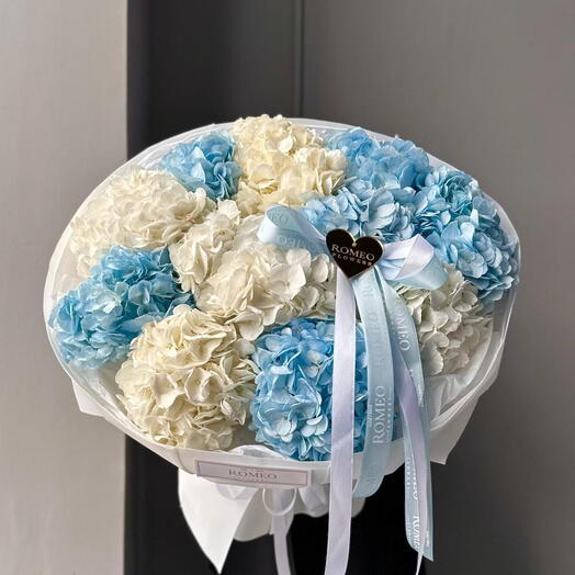 Букет из 11шт гортензии