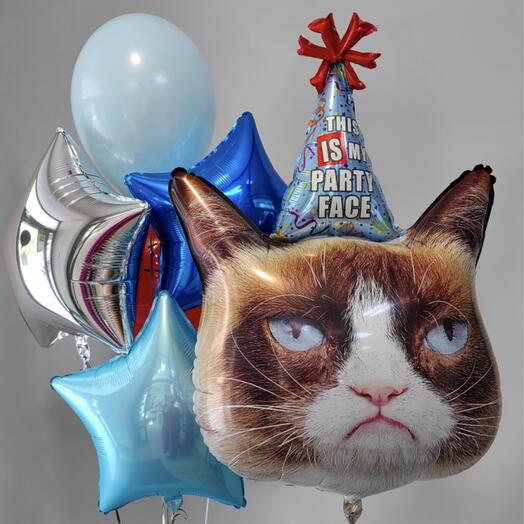 Шары сердитый кот недовольный пати фейс party face подарок прикол парню другу мужчине подруге девушке день рождения в колпаке