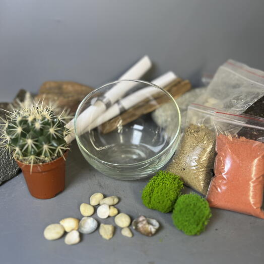 Набор для создания флорариума своими руками с кактусом