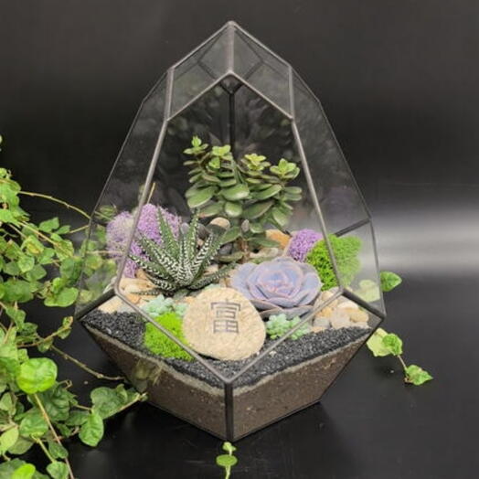 Флорариум с суккулентами "Финансовое благополучие"