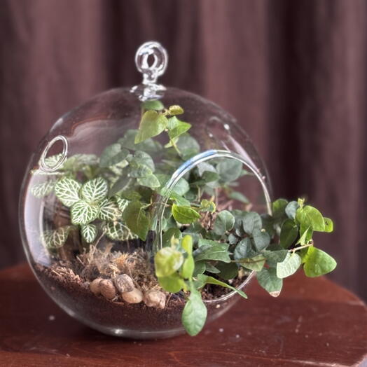 Florarium M with a hook