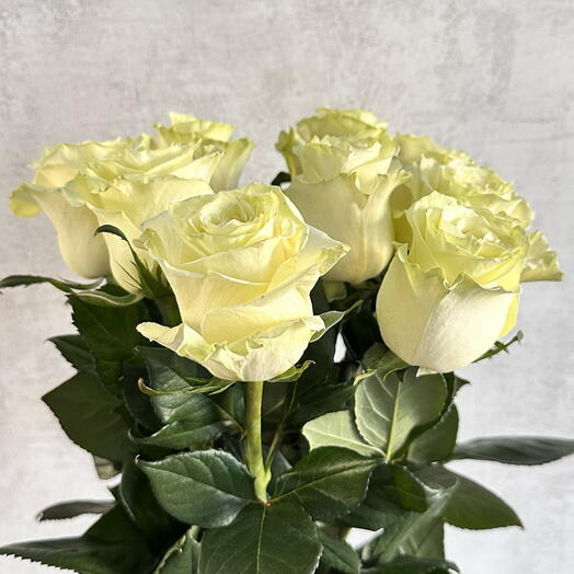 Букет из  9 крупных белых роз сорт Mondial🌹 премиум🌹 эквадор
