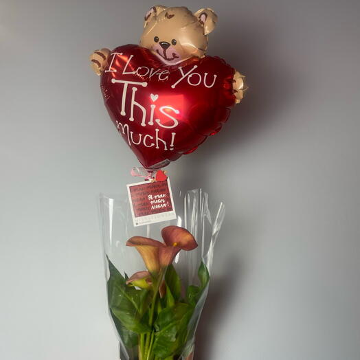 Комнатное растение Калла с шариком и открыткой