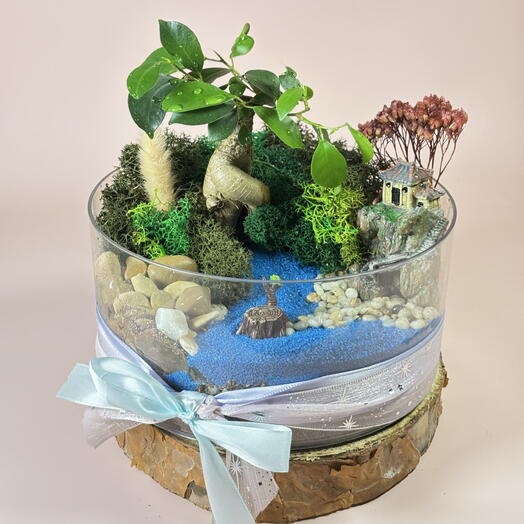 Флорариум с Бонсай большой XL