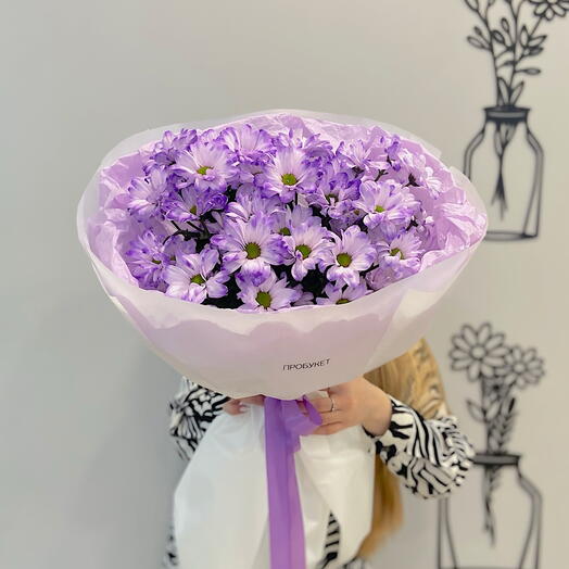 5 кустовых фиолетовых хризантем 💜
