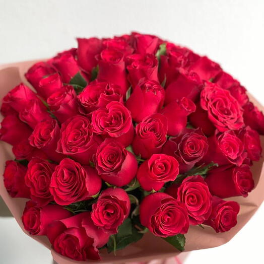 51 роза Родос  🌹