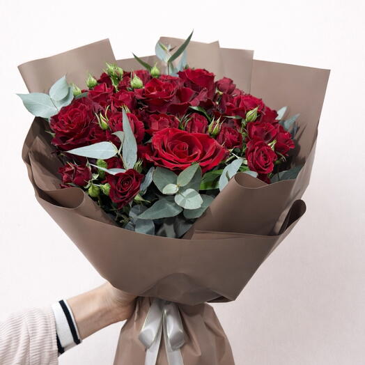 Red Elegance