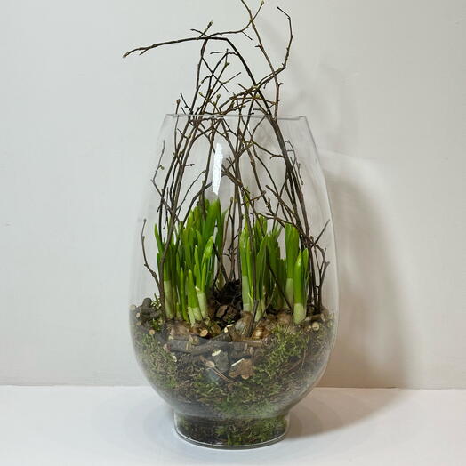 Композиция с луковичными нарциссами в вазе L