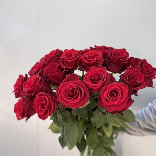 Красная Роза