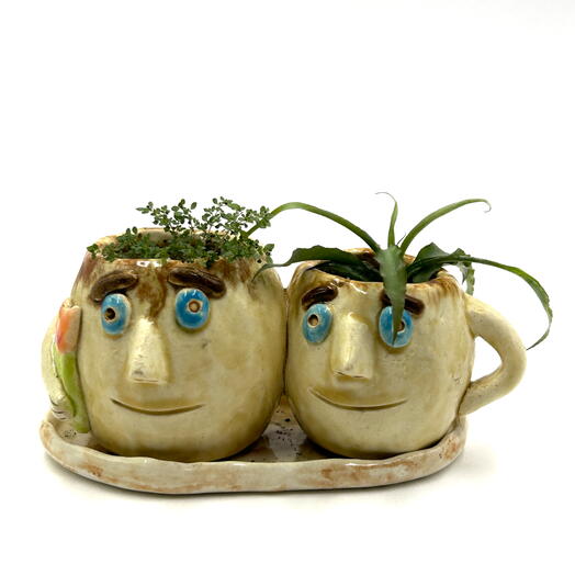 Композиция из ливанской пилеи и криптантуса(Pilea microphylla, cryptanthus) в двойном керамическом кашпо