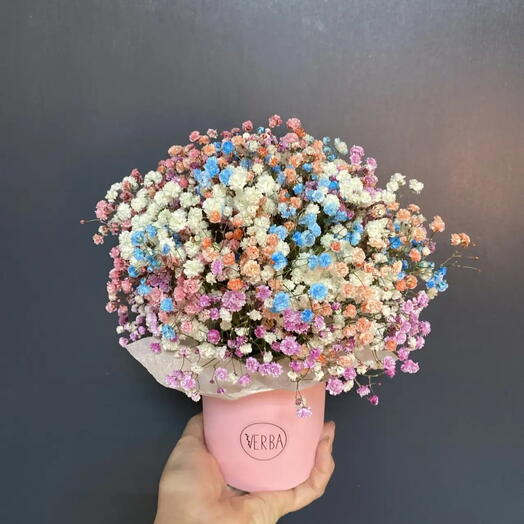 Композиция из гипсофилы радужной