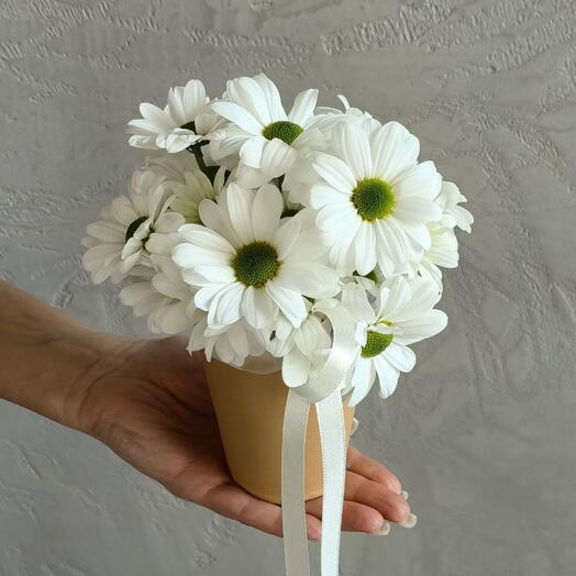 Хризантема в стаканчике🌼