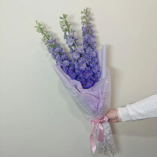 Букет из 3 Дельфиниумов