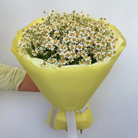 Букет ромашек