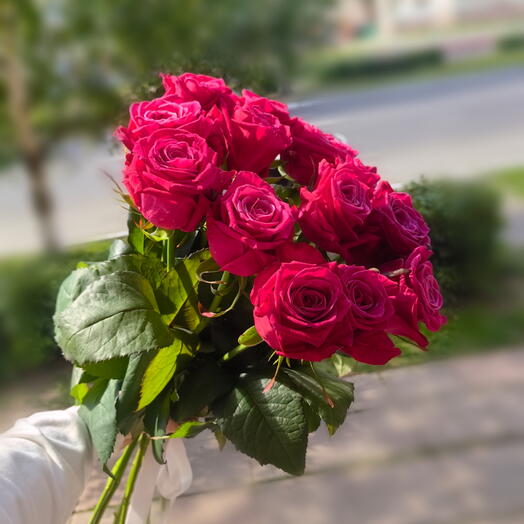 11 малиновых роз 60см под ленту