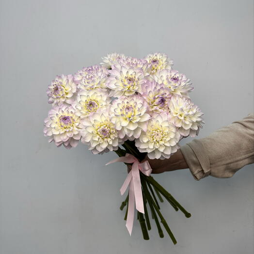 Букет из бело-сиреневых георгинов 15 шт