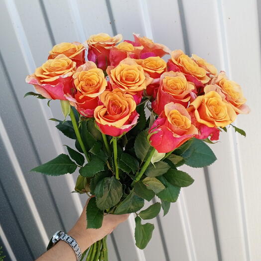 Испания 🧡 15 шт