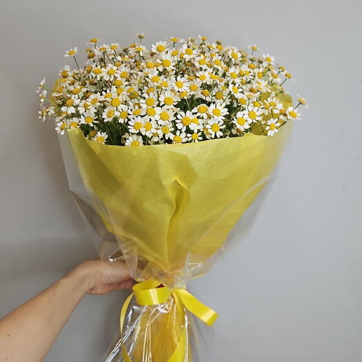 Ромашки (танацетум) 19шт