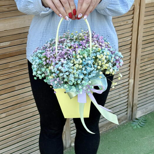 Composition of gypsophila