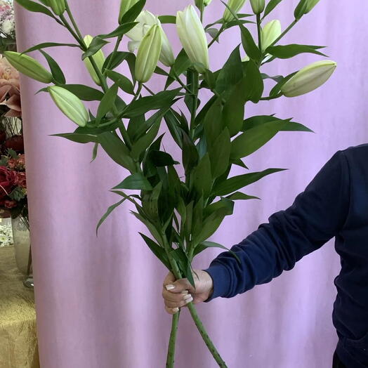 Букет из 3 лилий