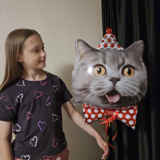 Шар фигура кот,котик,кошка,котенок в колпачке с гелием -1шар