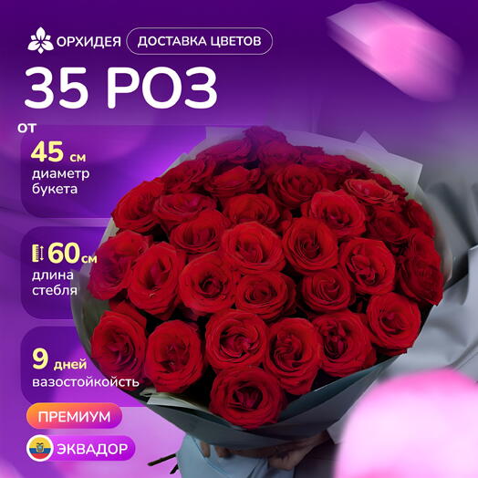 35 роза "Нина"