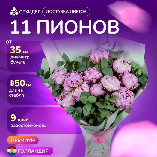 11 пионов "Сара Бернар" с эвкалиптом