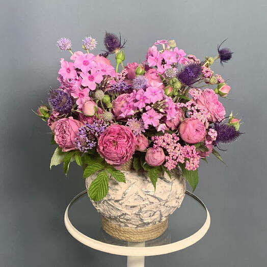 Кустовая Роза,флоксы в кашпо🌸