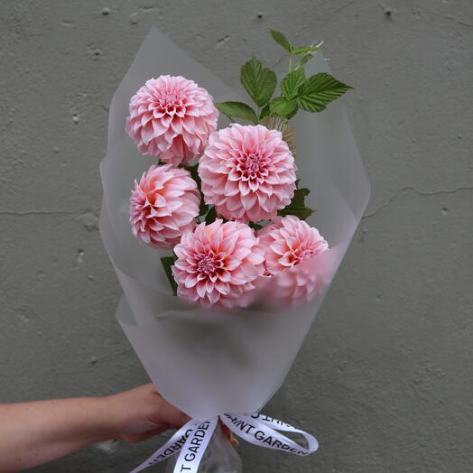 Букет из персиковых георгинов Peaches, 5шт