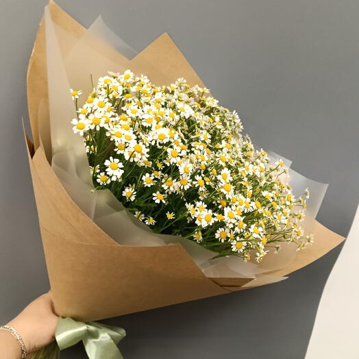 Ромашки 15 шт💐