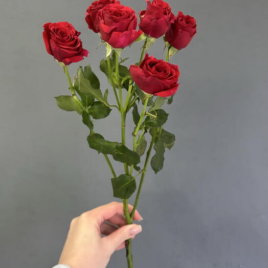 Нежные кустовые розы🌹