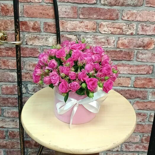 bush roses in a box "Lovely Lydia"