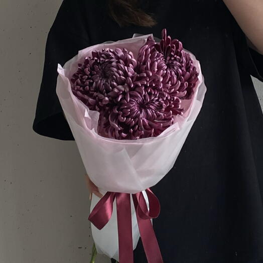 Сезонные хризантемы сорта «Бигуди» в винном оттенке в упаковке 🍇 3