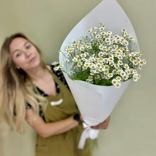 Букет из 9 шт.матрикарии , ромашка Камилла, танацетум