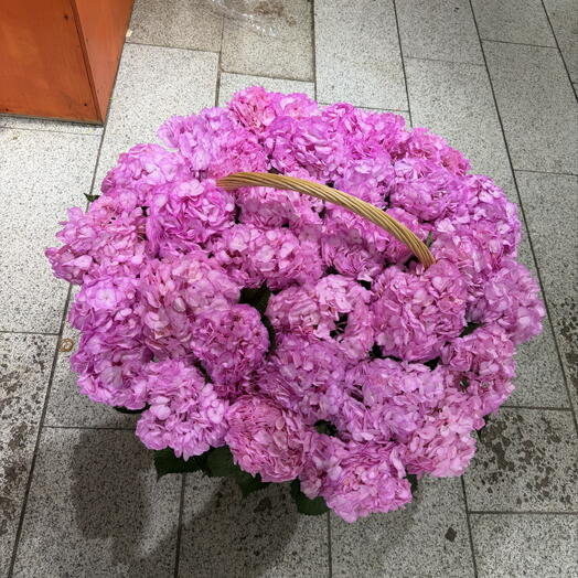 Корзина из 31 розовой гортензии